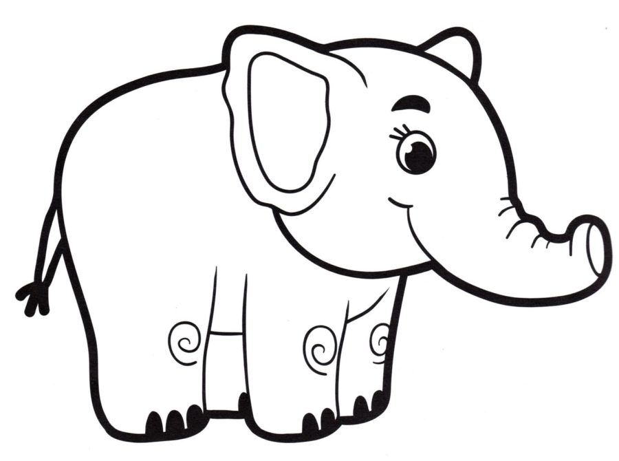 Detail Elefanten Bilder Zum Ausdrucken Nomer 18