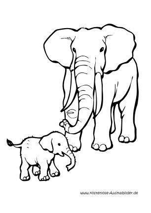 Detail Elefanten Bilder Zum Ausdrucken Nomer 6