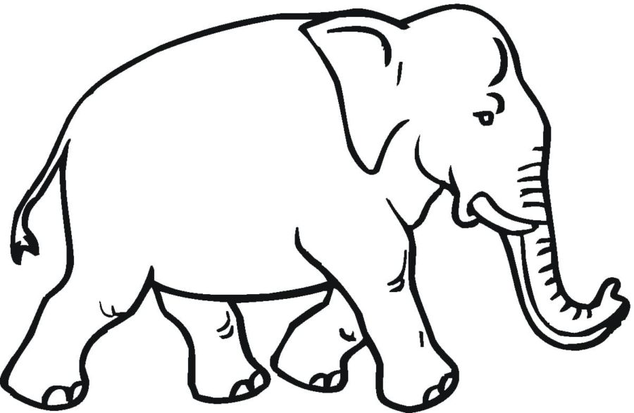 Detail Elefanten Bilder Zum Ausdrucken Nomer 7