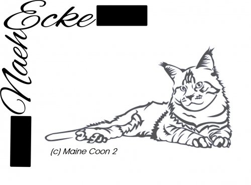 Detail Fotos Von Maine Coon Katzen Nomer 14
