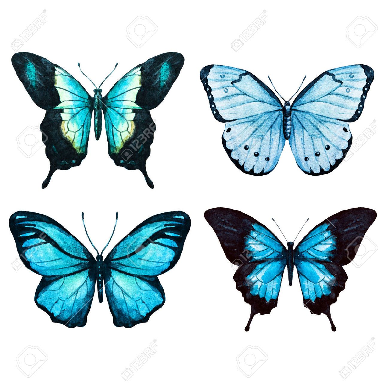 Detail Bild Schmetterling Gemalt Nomer 9