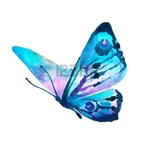 Detail Bild Schmetterling Gemalt Nomer 13
