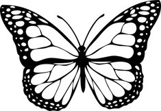 Detail Bild Schmetterling Gemalt Nomer 23