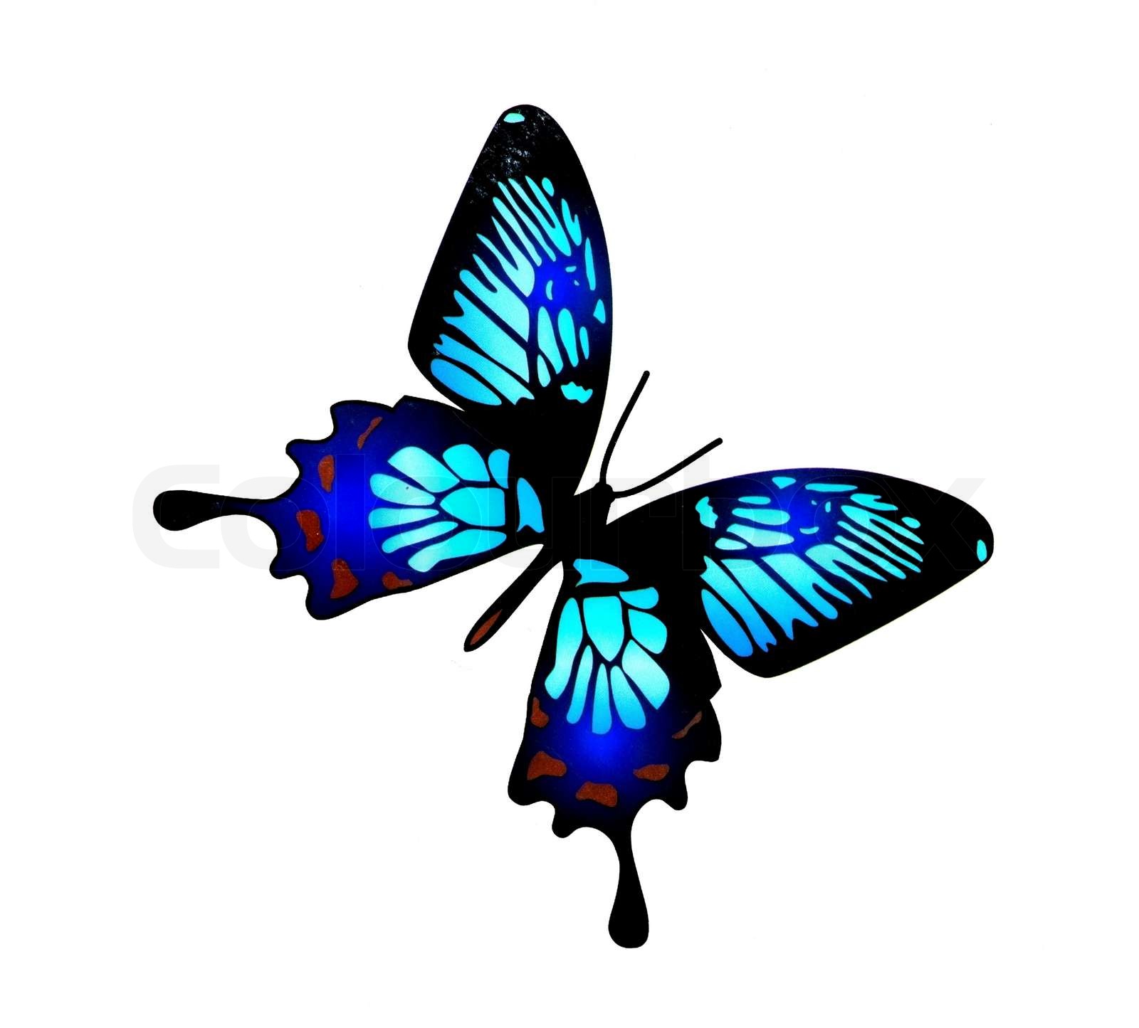 Detail Bild Schmetterling Gemalt Nomer 25