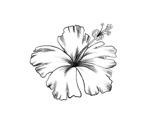 Detail Blackwork Tattoo Flower Nomer 16