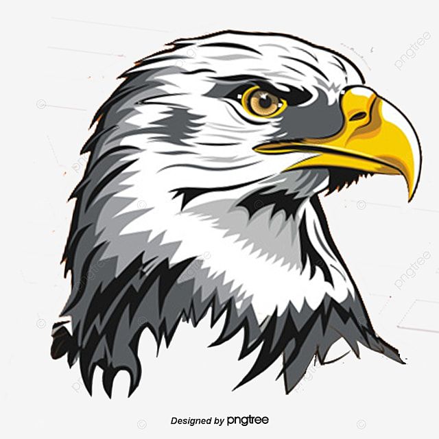 Detail Eagle Vector Png Nomer 12