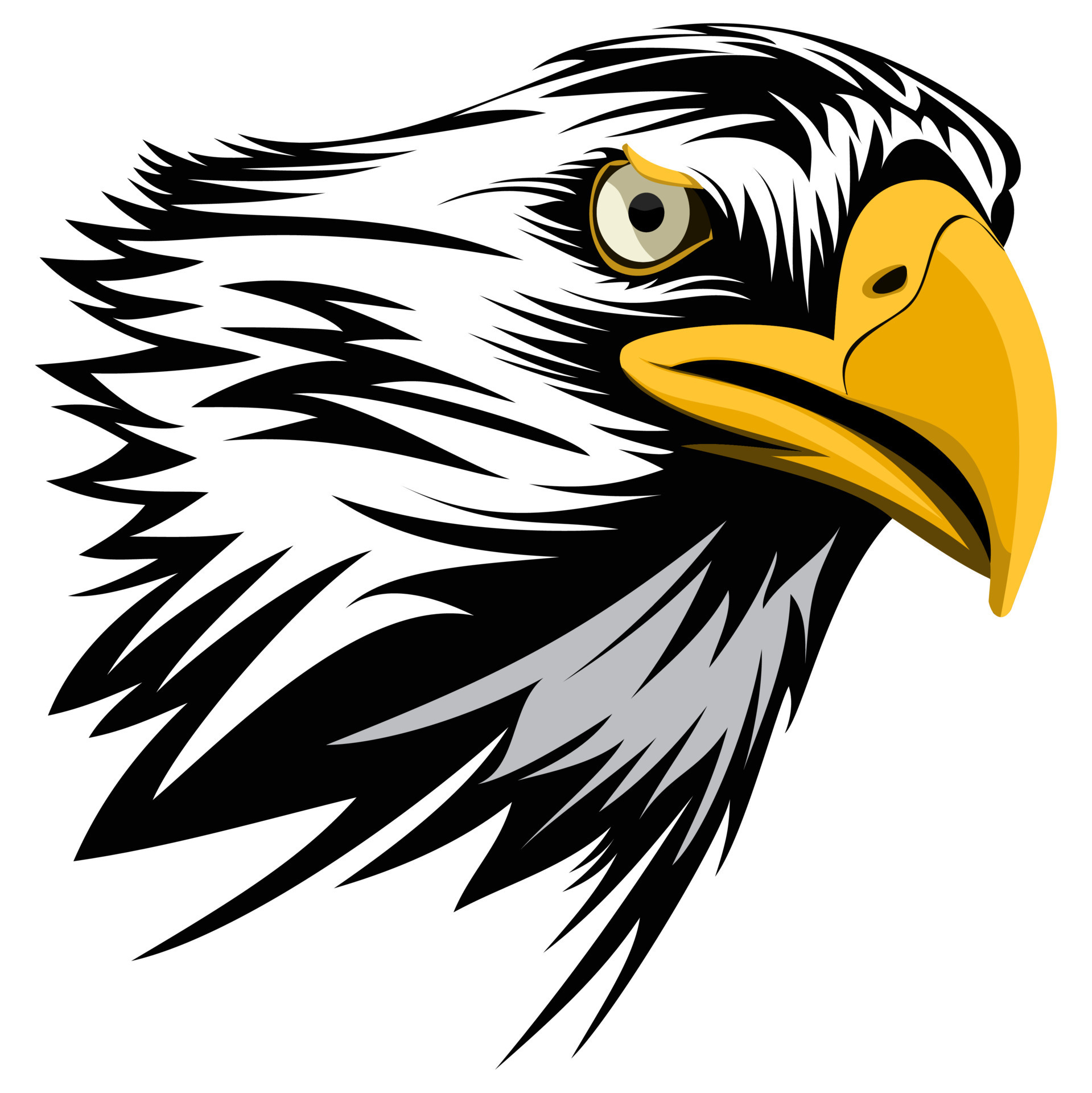 Detail Eagle Vector Png Nomer 14