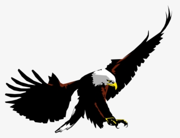 Detail Eagle Vector Png Nomer 5