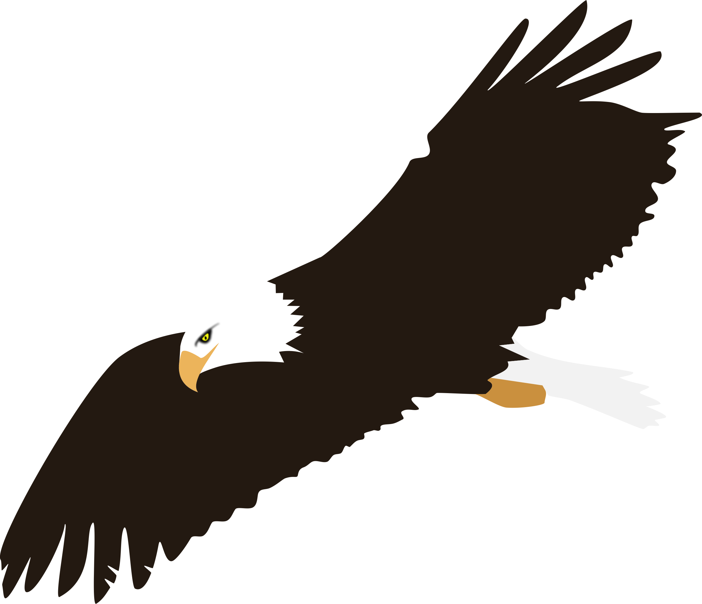 Detail Eagle Vector Png Nomer 7