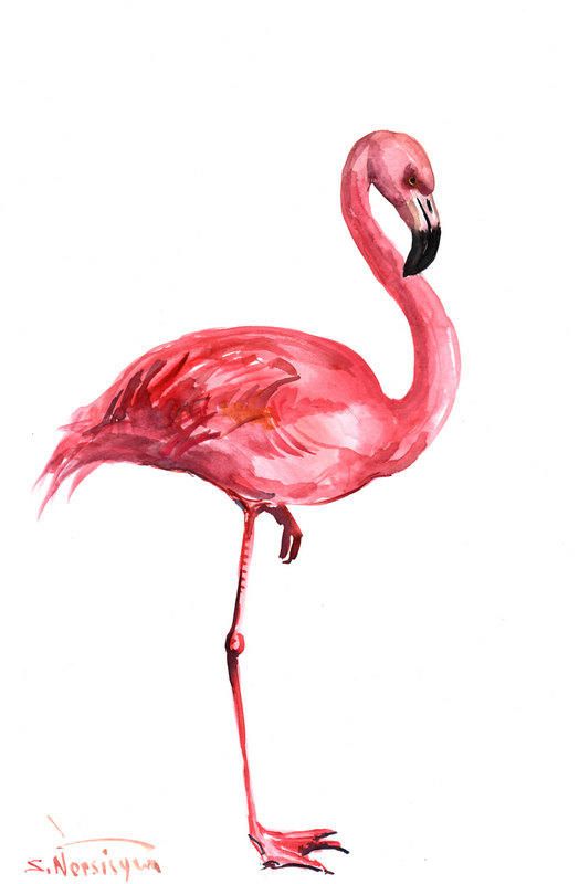 Detail Flamingo Eis Nomer 5