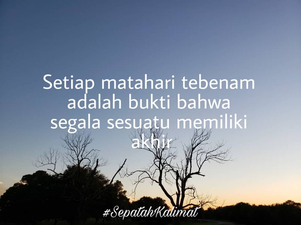 Detail Gambar Caption Bijak Nomer 21