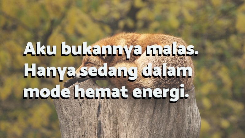 Detail Gambar Caption Lucu Nomer 34