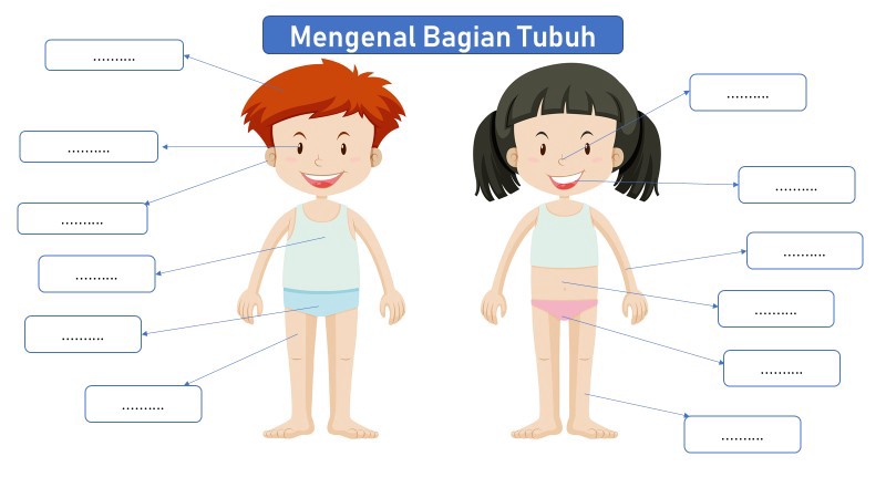 Detail Gambar Carton Tubuh Anak Nomer 15