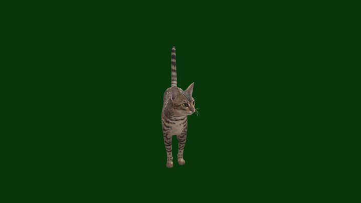 Detail Gambar Cat 3d Nomer 28