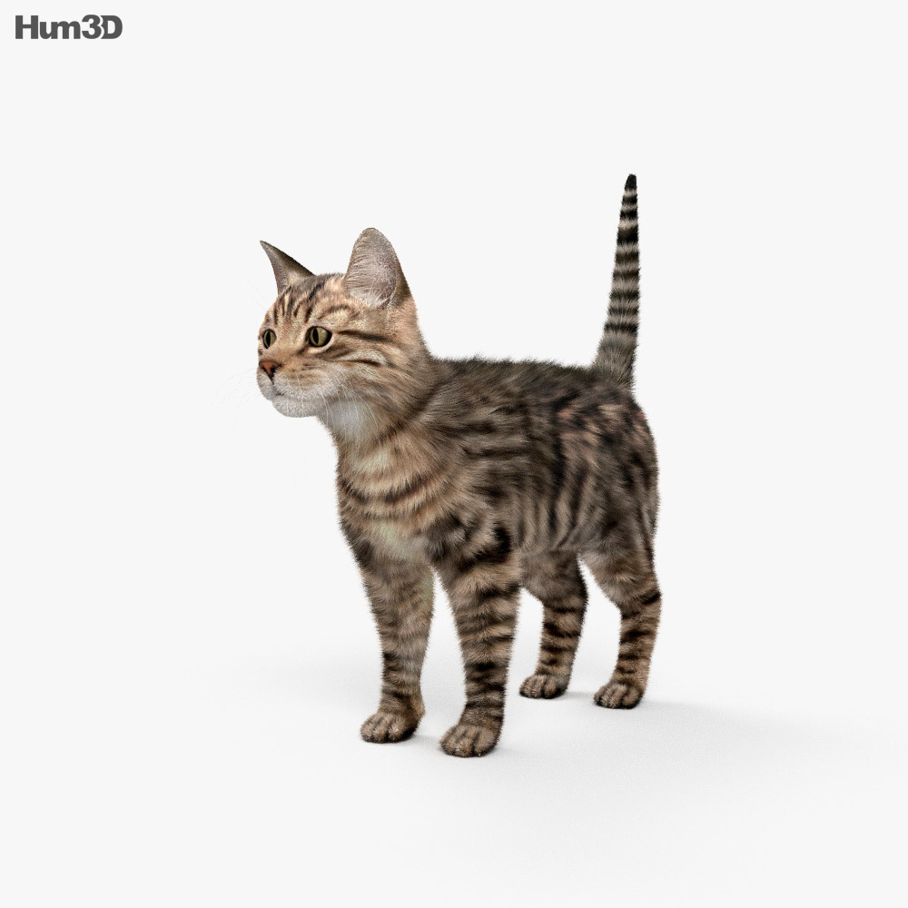Detail Gambar Cat 3d Nomer 4