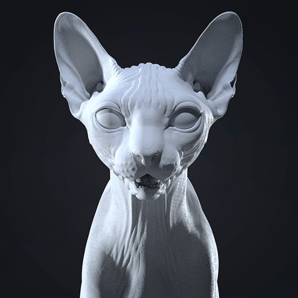 Detail Gambar Cat 3d Nomer 36