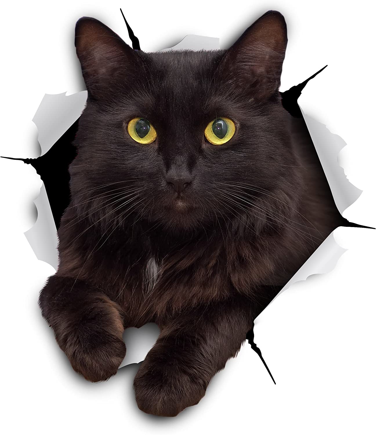 Detail Gambar Cat 3d Nomer 46