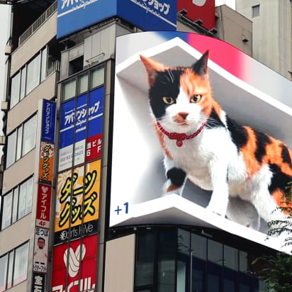 Detail Gambar Cat 3d Nomer 48