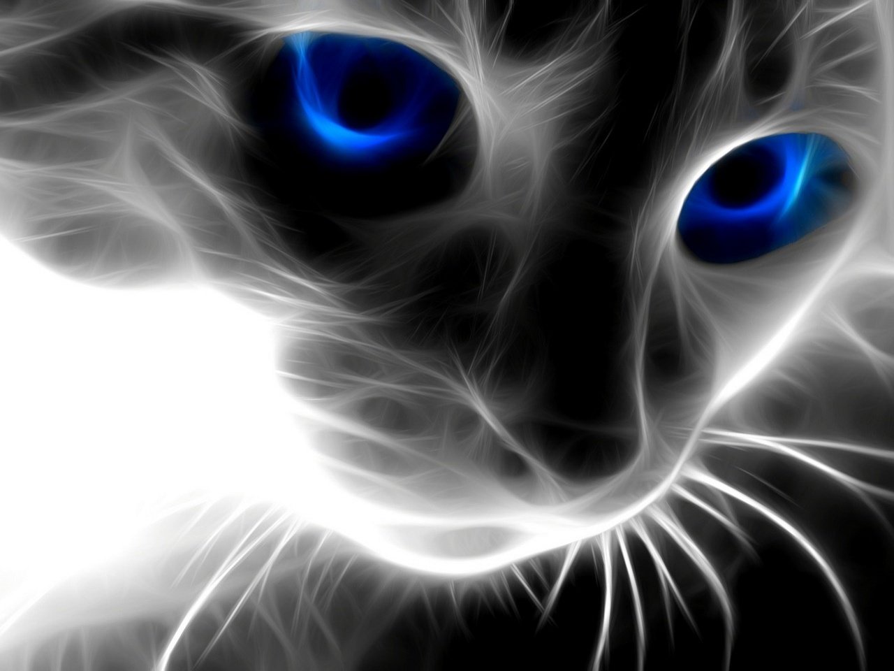 Detail Gambar Cat 3d Nomer 52