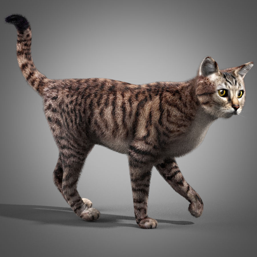 Detail Gambar Cat 3d Nomer 57