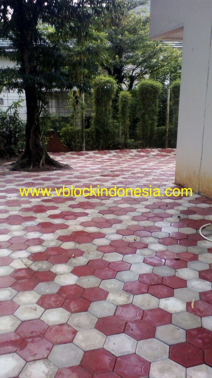 Detail Gambar Cat Paving Nomer 22