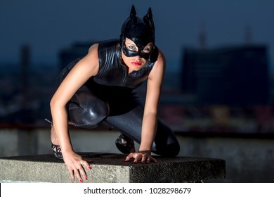 Detail Gambar Cat Woman Nomer 21