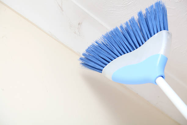 Detail Gambar Ceiling Brush Nomer 41