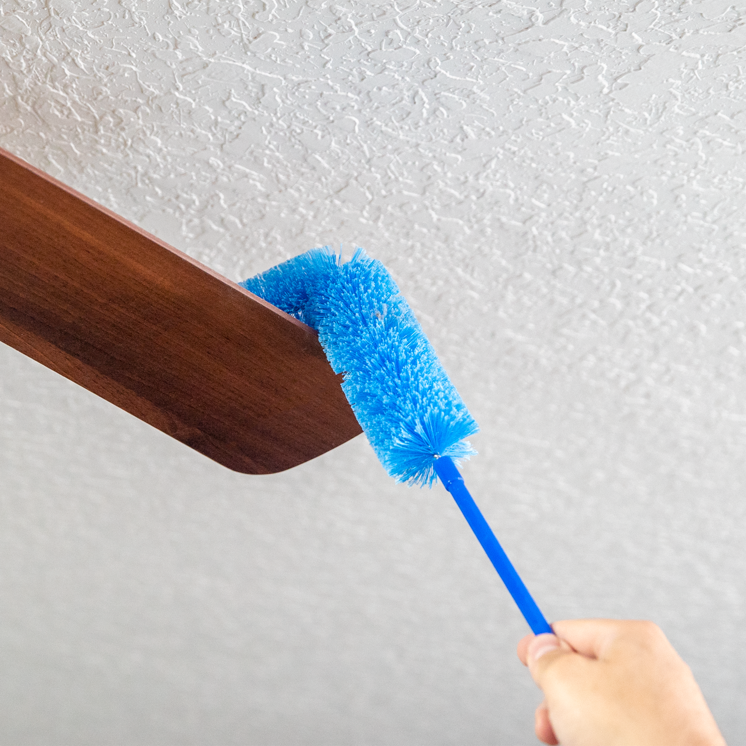 Detail Gambar Ceiling Brush Nomer 49