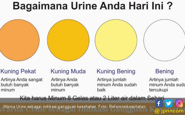 Detail Gambar Cek Berwarna Nomer 16