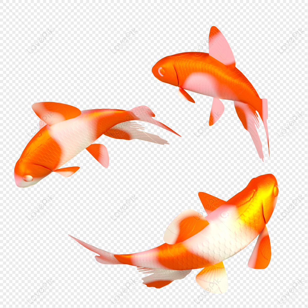 Detail Happy New Year Carp Nomer 10