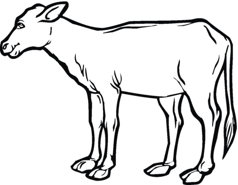 Detail Kalb Zeichnen Nomer 3