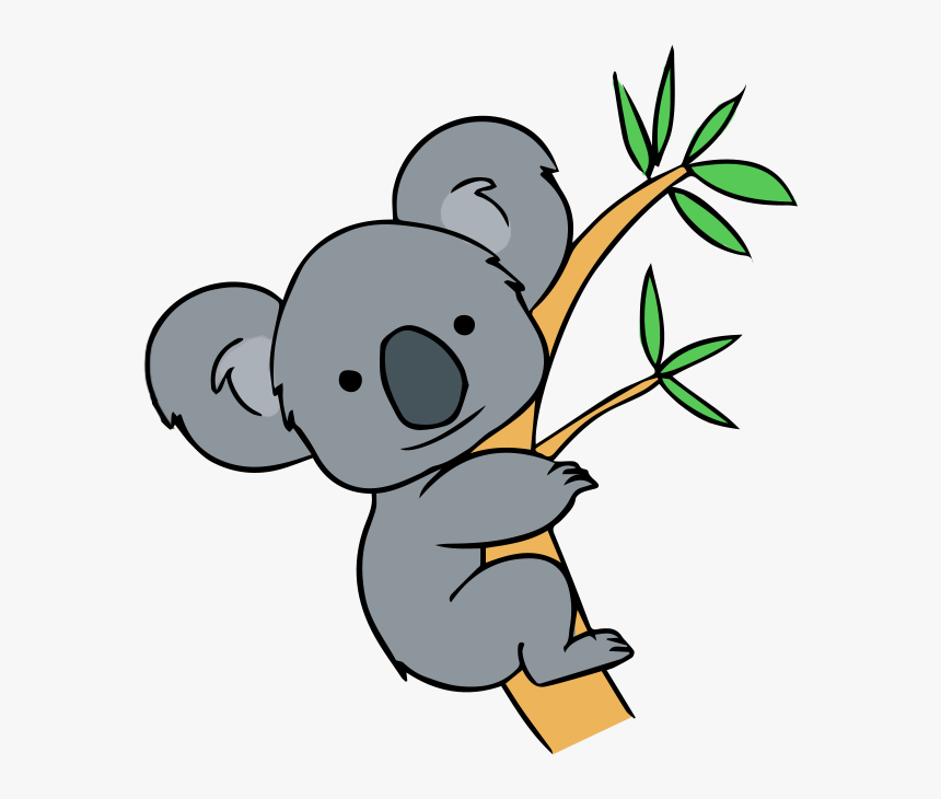 Koala Bear - KibrisPDR