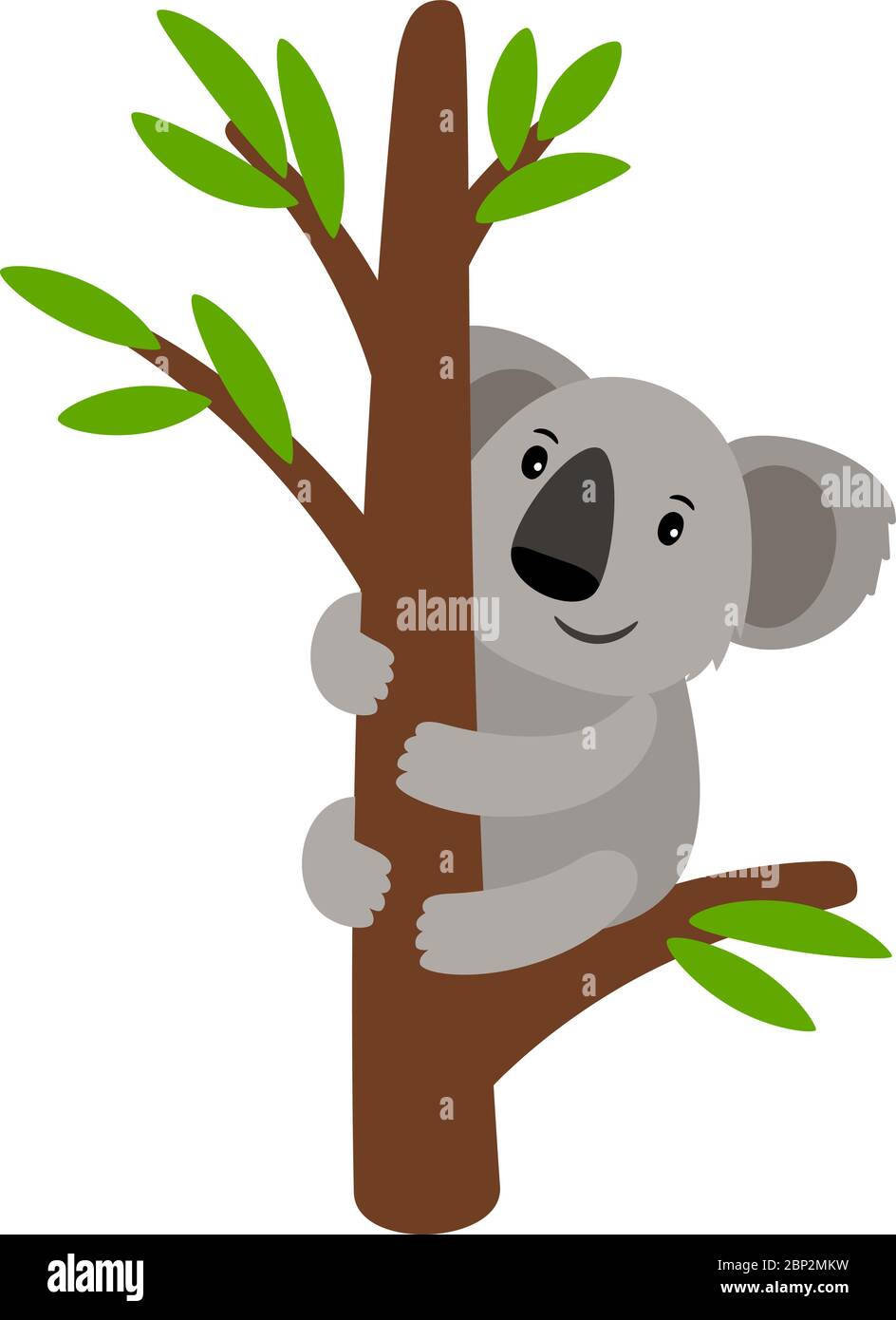Detail Koala Bear Nomer 11