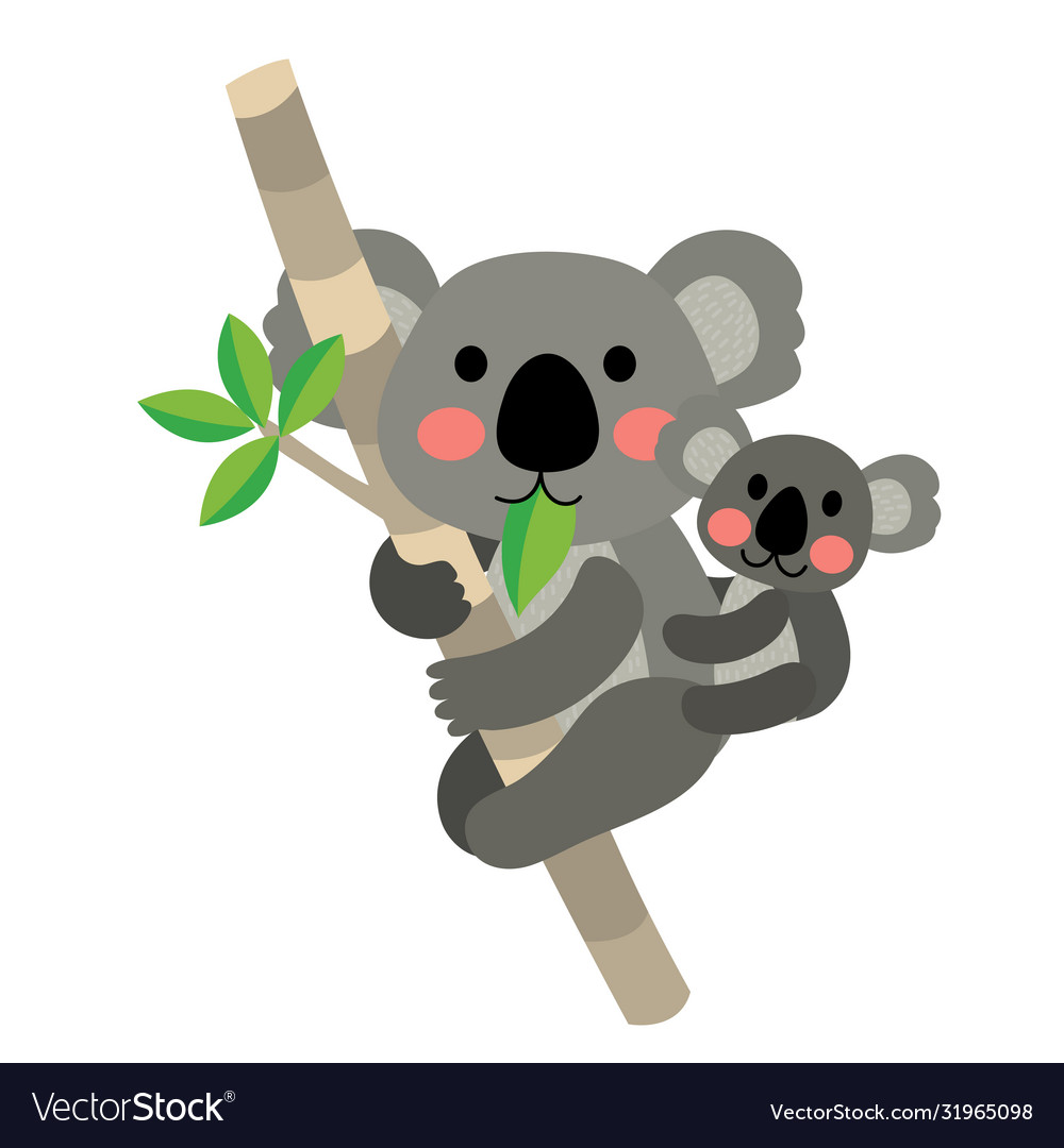Detail Koala Bear Nomer 13