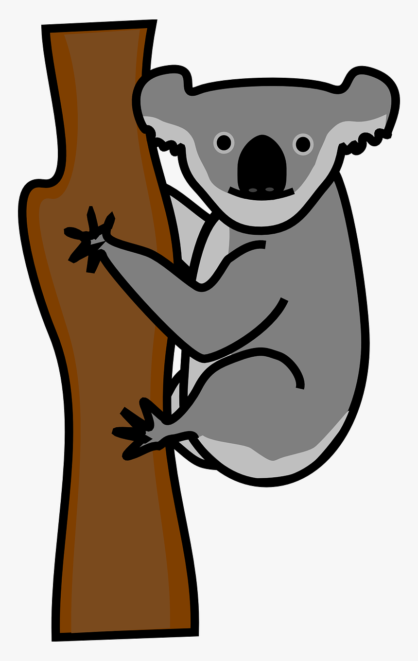 Detail Koala Bear Nomer 19