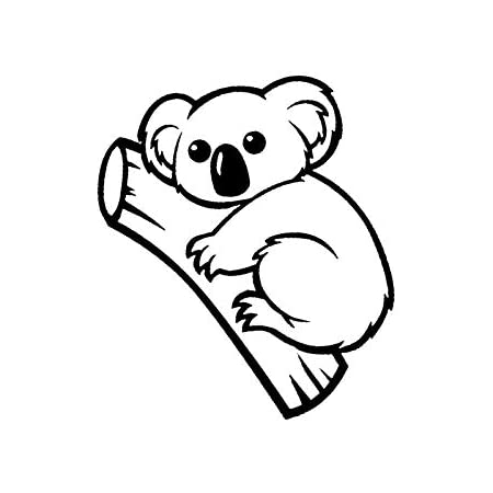 Detail Koala Bear Nomer 23