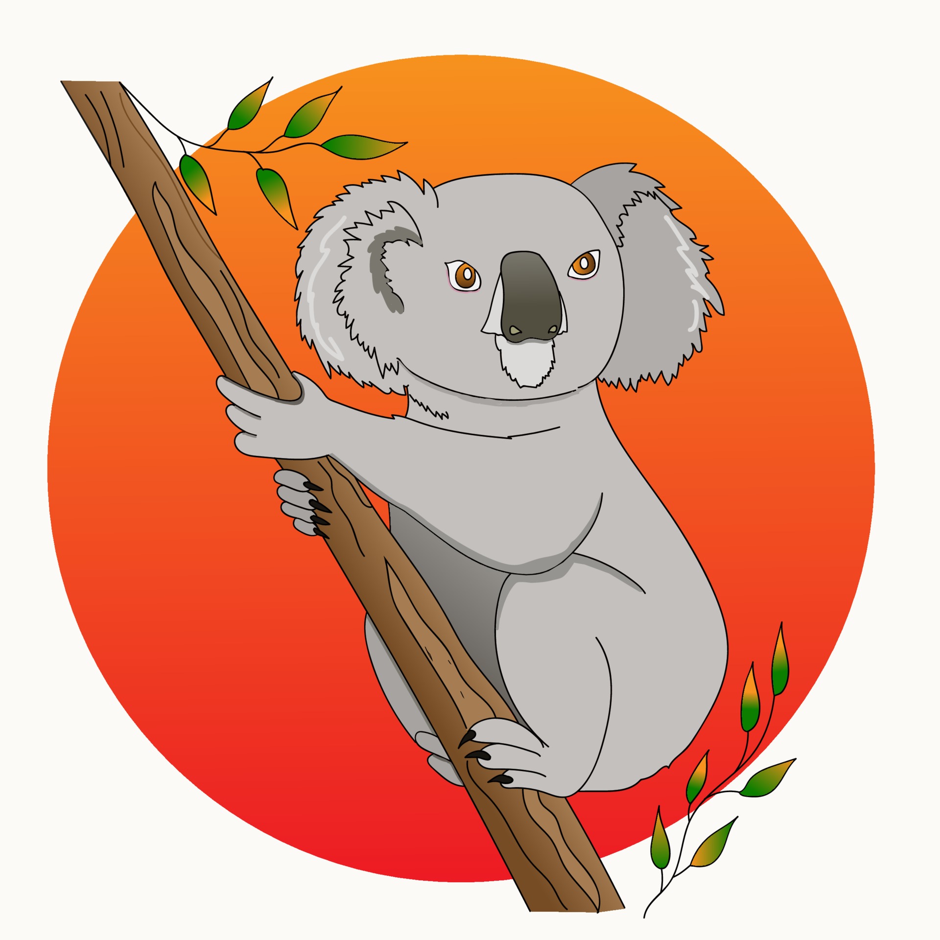 Detail Koala Bear Nomer 24