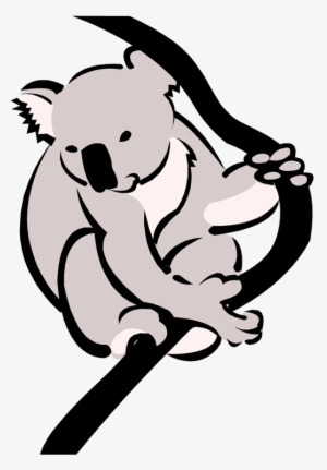Detail Koala Bear Nomer 25