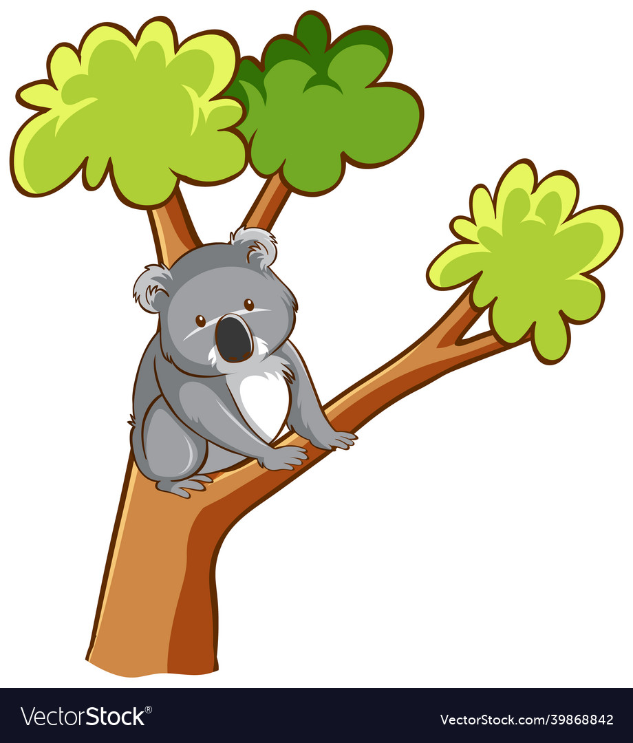 Detail Koala Bear Nomer 4