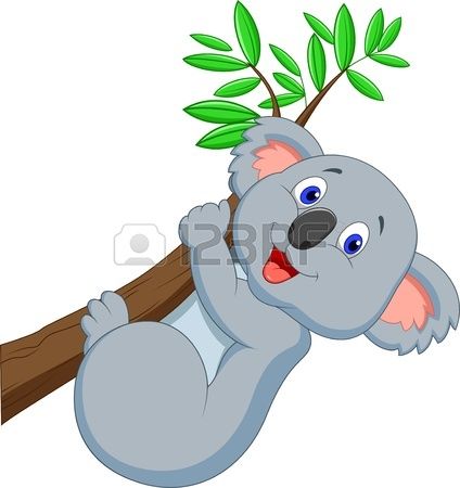 Detail Koala Bear Nomer 5
