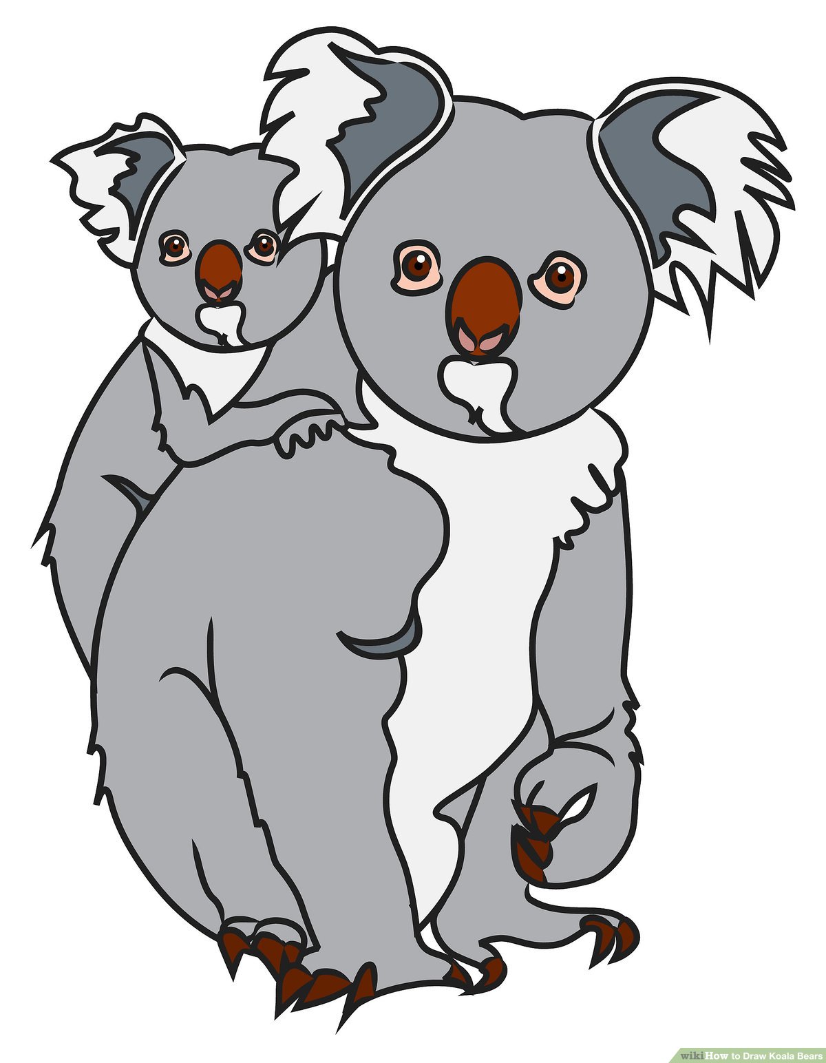 Detail Koala Bear Nomer 6