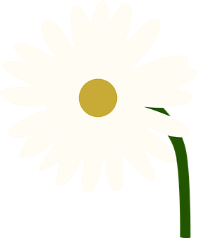 Detail Margeriten Zeichnen Nomer 19