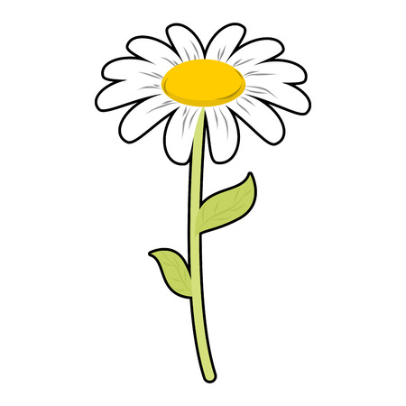 Detail Margeriten Zeichnen Nomer 3