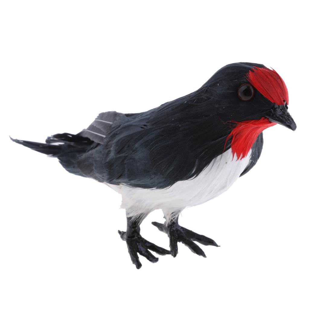 Detail Schwarzer Vogel Nomer 7