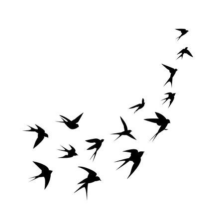 Detail Schwarzer Vogel Nomer 9