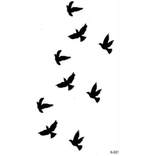 Detail Schwarzer Vogel Nomer 10