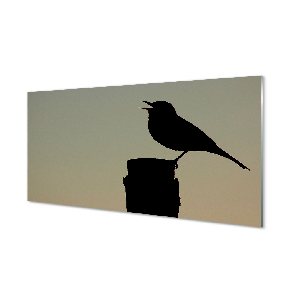 Detail Schwarzer Vogel Nomer 13