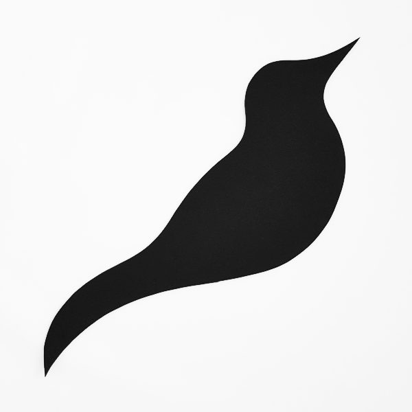 Detail Schwarzer Vogel Nomer 16
