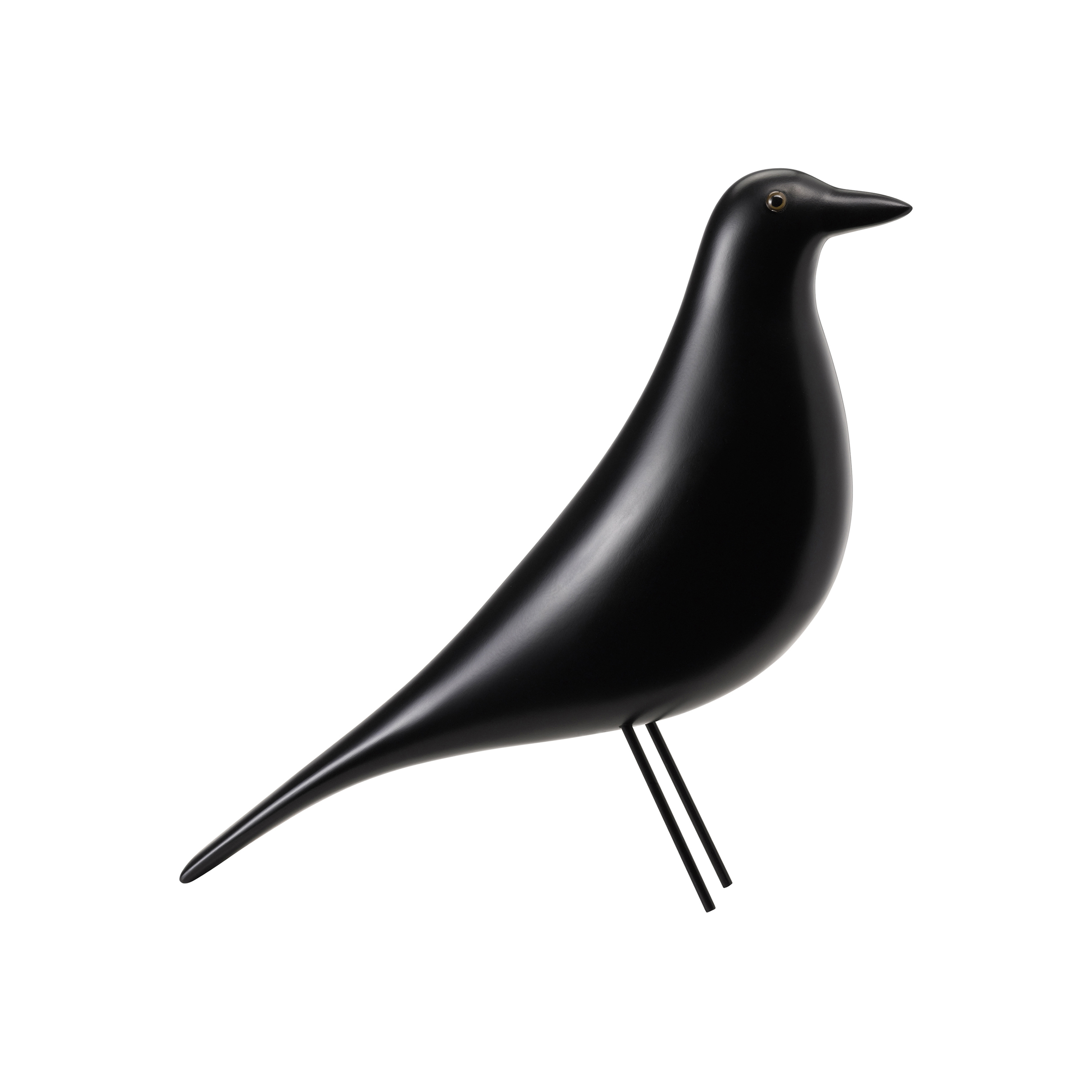Detail Schwarzer Vogel Nomer 20