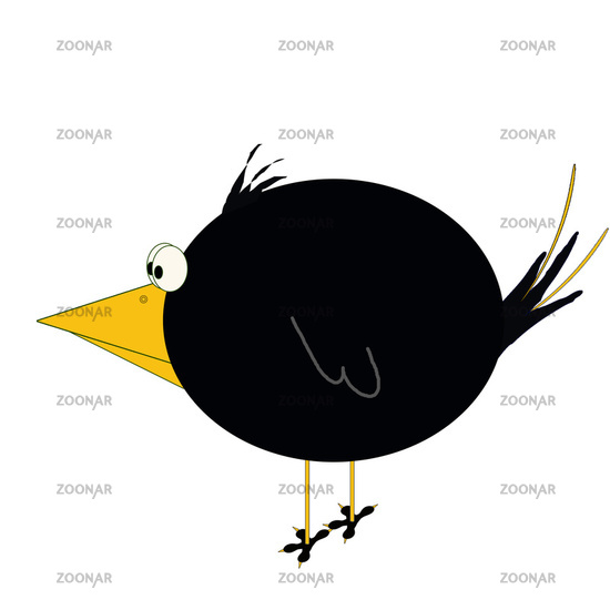Detail Schwarzer Vogel Nomer 3